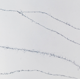 Screenshot 2025-01-31 203902